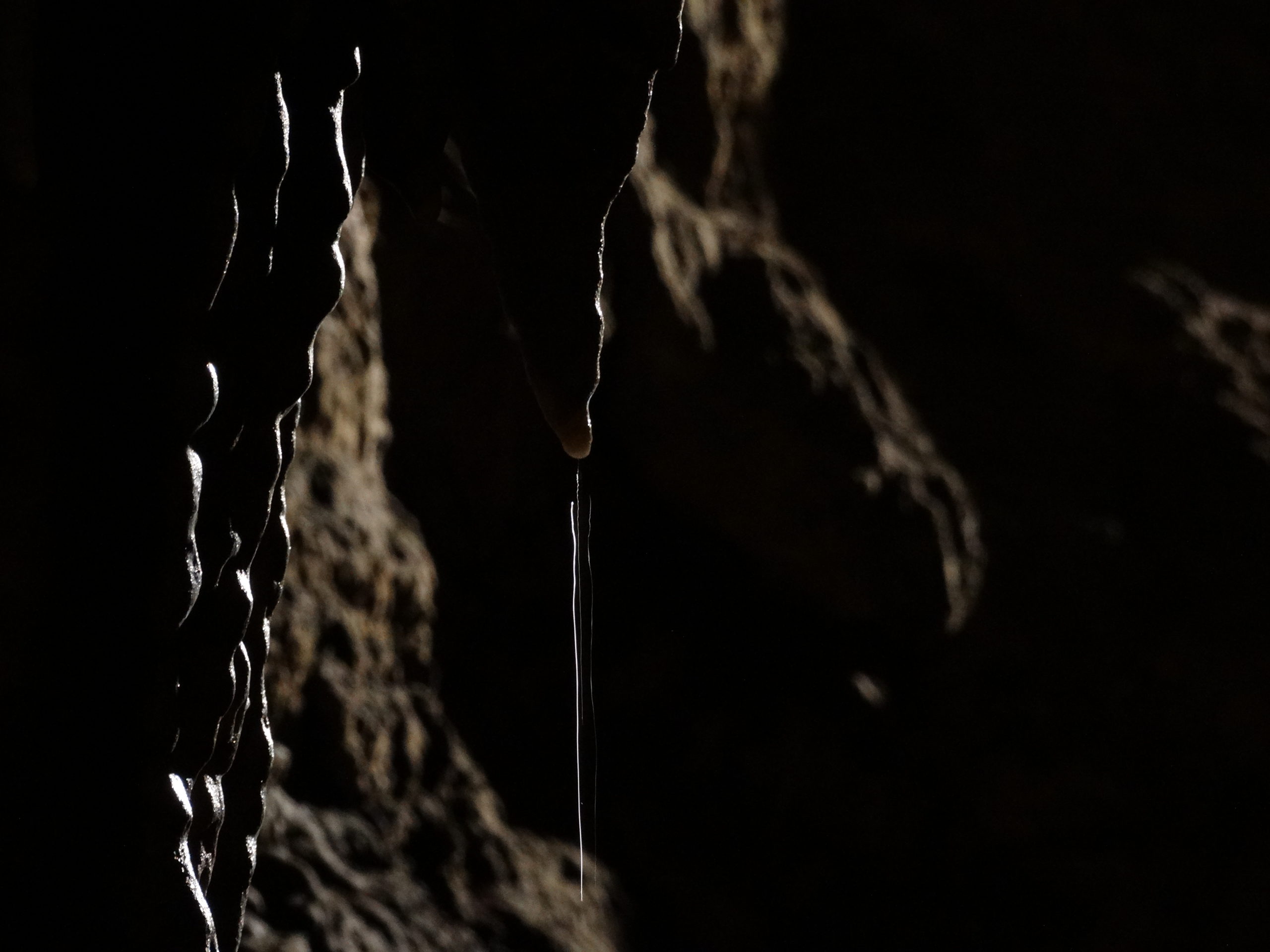 Grotte de Comblain - Détail d'un stalagtite ©Deplancke Michael