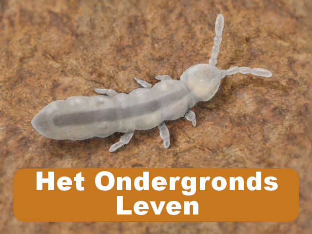 Het Ondergronds Leven